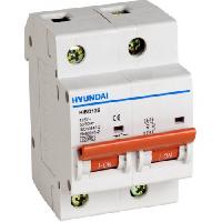 ავტომატური ამომრთველი HYUNDAI 10kA 125A 2P C 